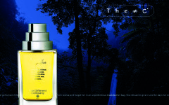 The Differend Company Adjatay profumo fragranza