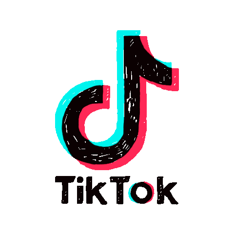 Dior TikTok